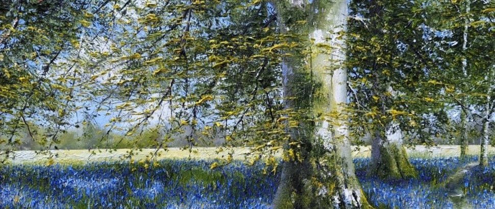 Mark Eldred Beach Trees And Bluebells